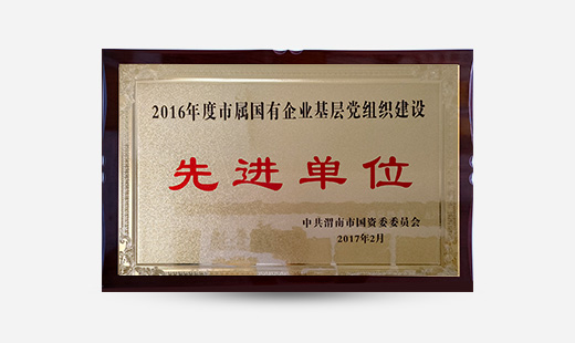 2016年度市屬國有企業(yè)基層黨組織建設(shè)先進(jìn)單位